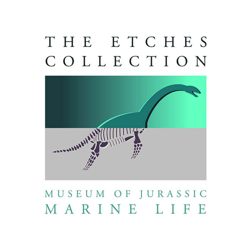 The-Etches-Collection
