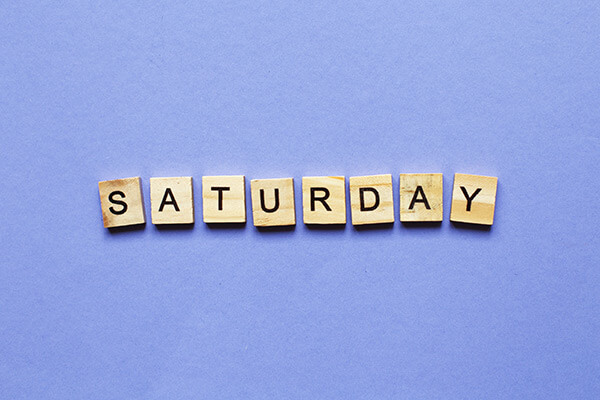 Saturday Highlights : Highlights from Day 1 of the Fossil Festival