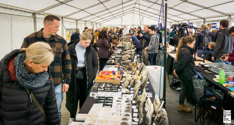 Lyme Regis Fossil Festival Sunday Shows Talks Performances ©Max Redwood-16