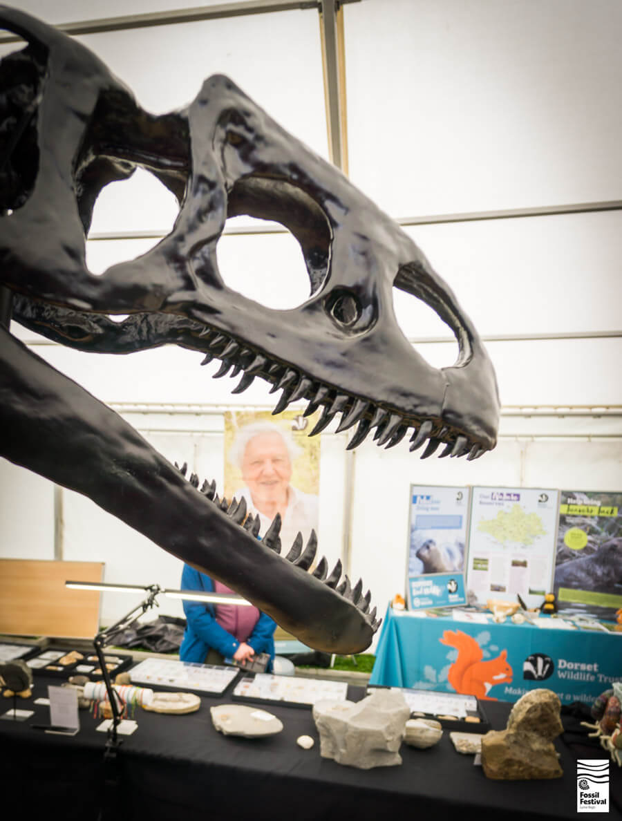 Lyme Regis Fossil Festival Sunday Shows Talks Performances ©Max Redwood-22