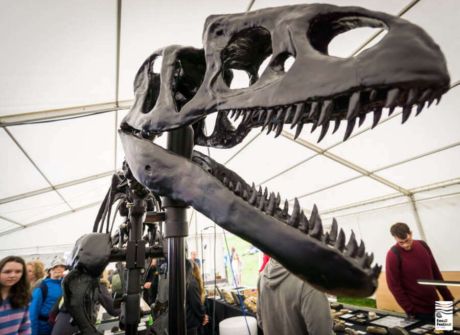 Lyme Regis Fossil Festival Sunday Shows Talks Performances ©Max Redwood-23