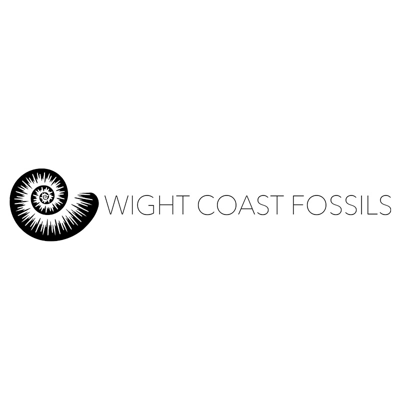 Wight Coast Fossils : Click to visit their website
