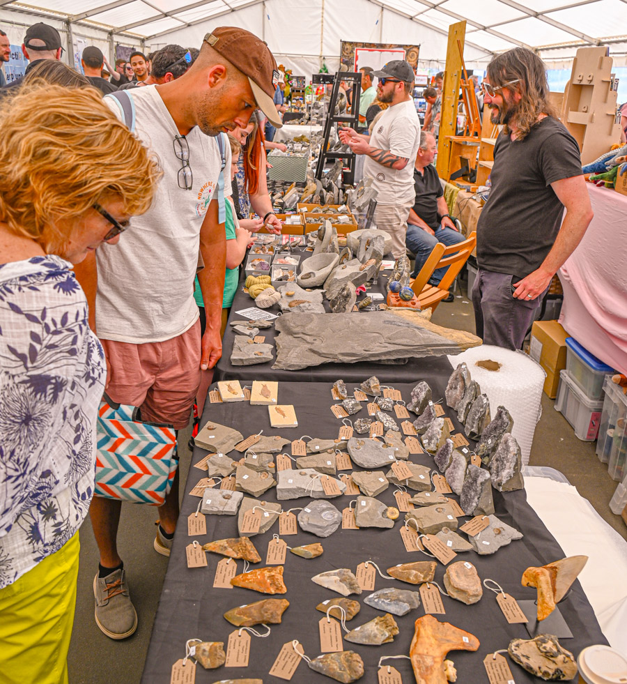 Saturday Lyme-Regis-Fossil-Festival-2024 ©-25