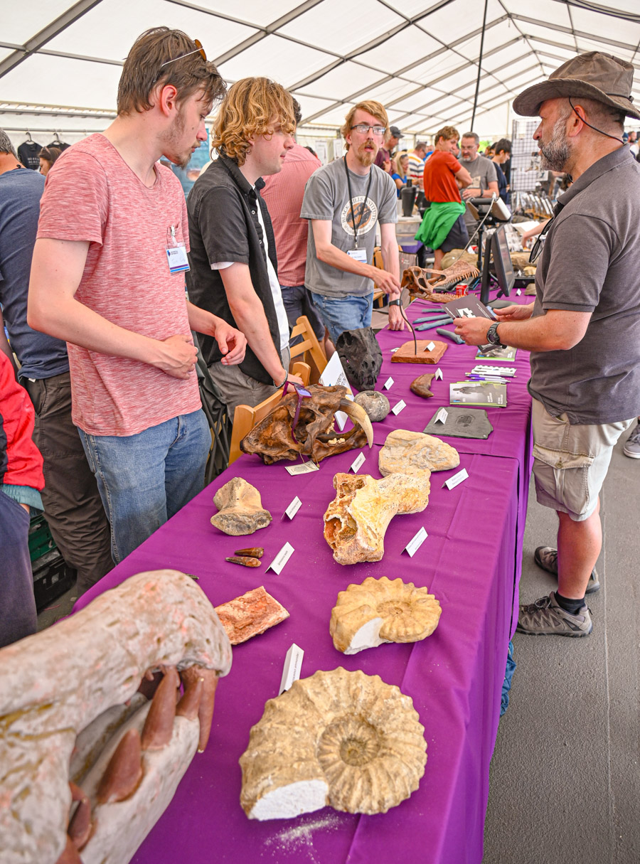 Saturday Lyme-Regis-Fossil-Festival-2024 ©-26
