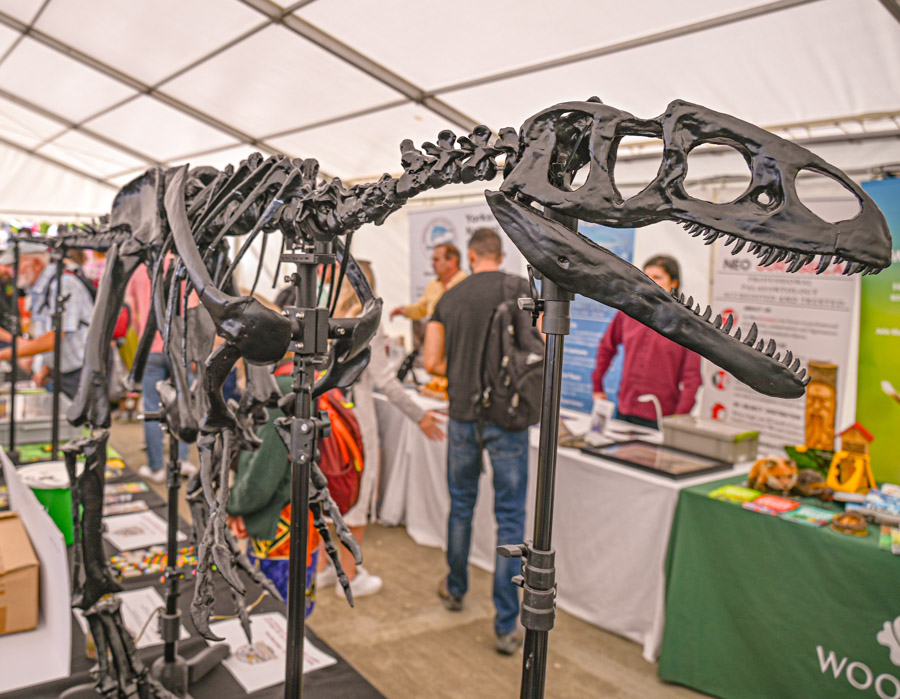 Saturday Lyme-Regis-Fossil-Festival-2024 ©-43
