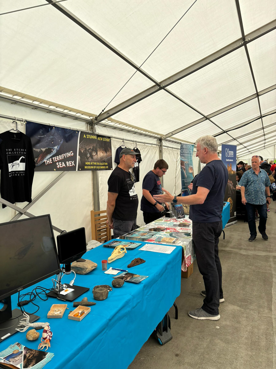 Saturday Lyme-Regis-Fossil-Festival-2024 ©-58