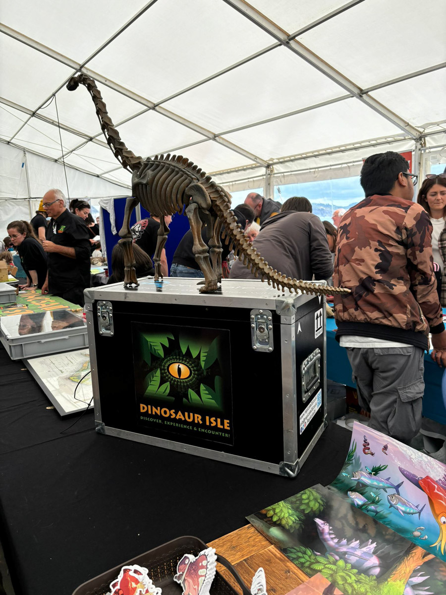 Saturday Lyme-Regis-Fossil-Festival-2024 ©-65