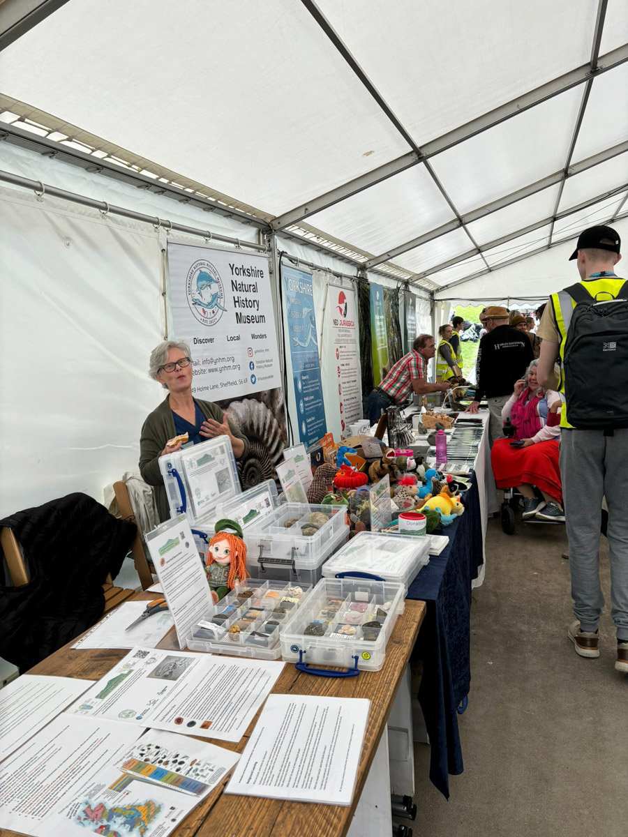 Saturday Lyme-Regis-Fossil-Festival-2024 ©-66
