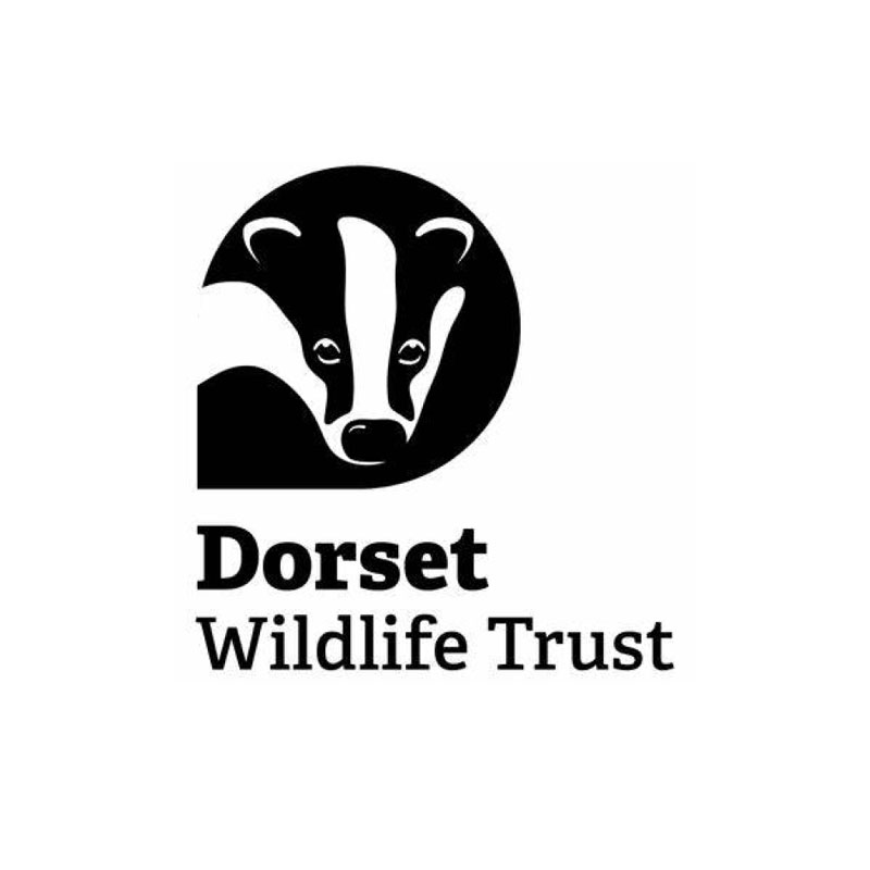 Dorset Wildlife Trust : Click to visit their website