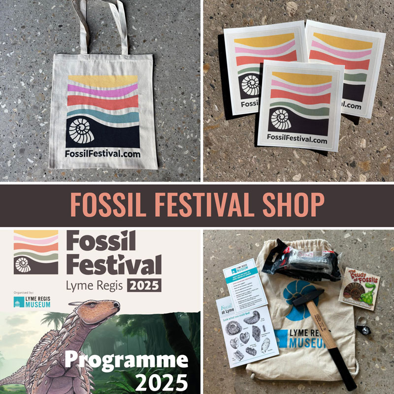 FOSSIL FESTIVAL SHOP
