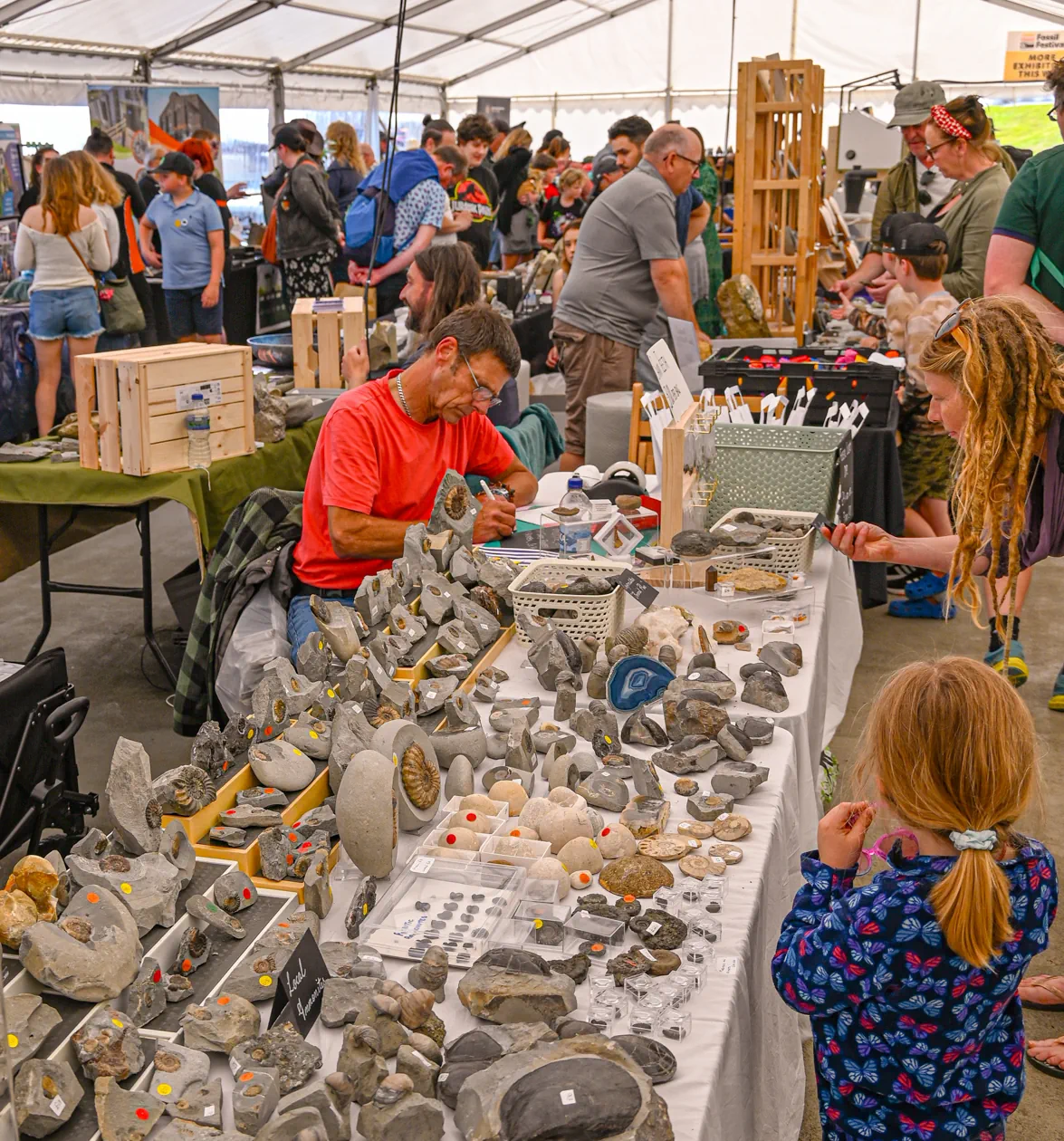 Fossil Festival Lyme Regis 14th June 2025
