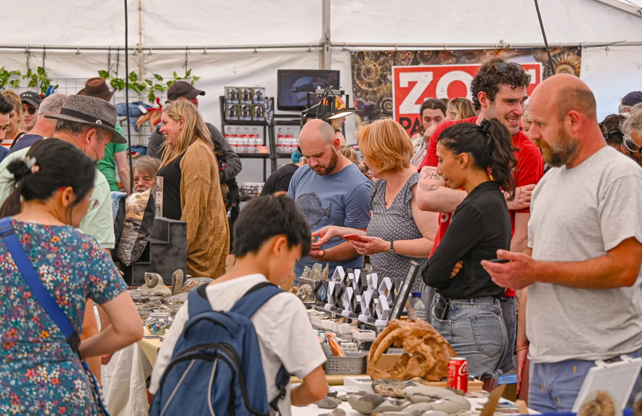 Fossil Festival Lyme Regis 14th June 2025