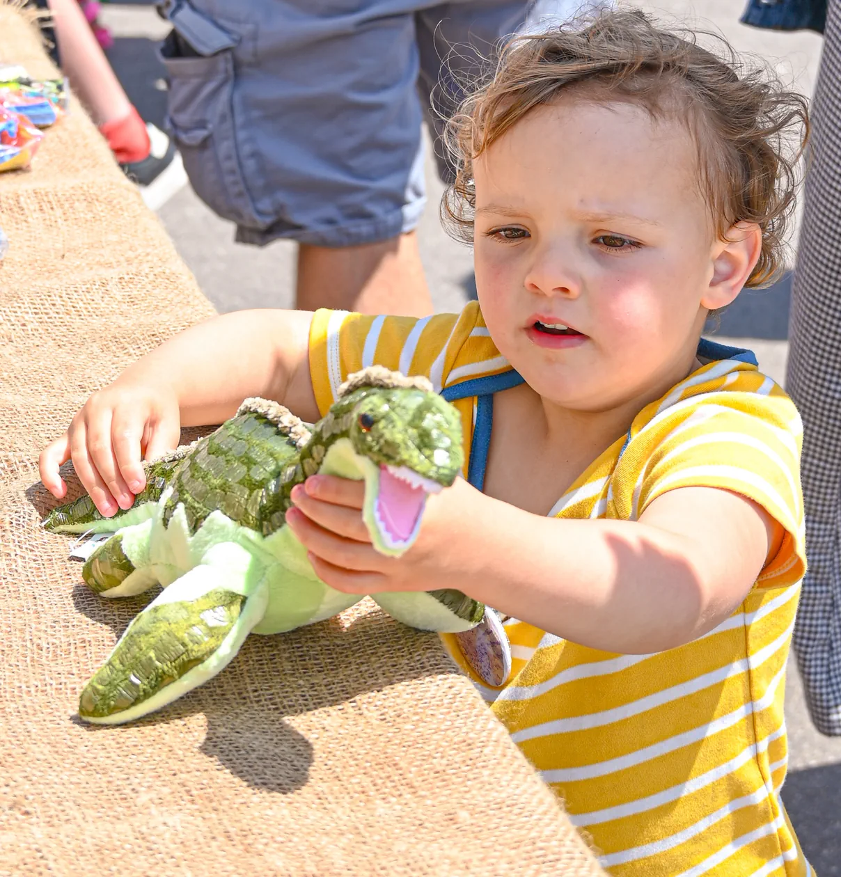 Fossil Festival Lyme Regis 14th June 2025