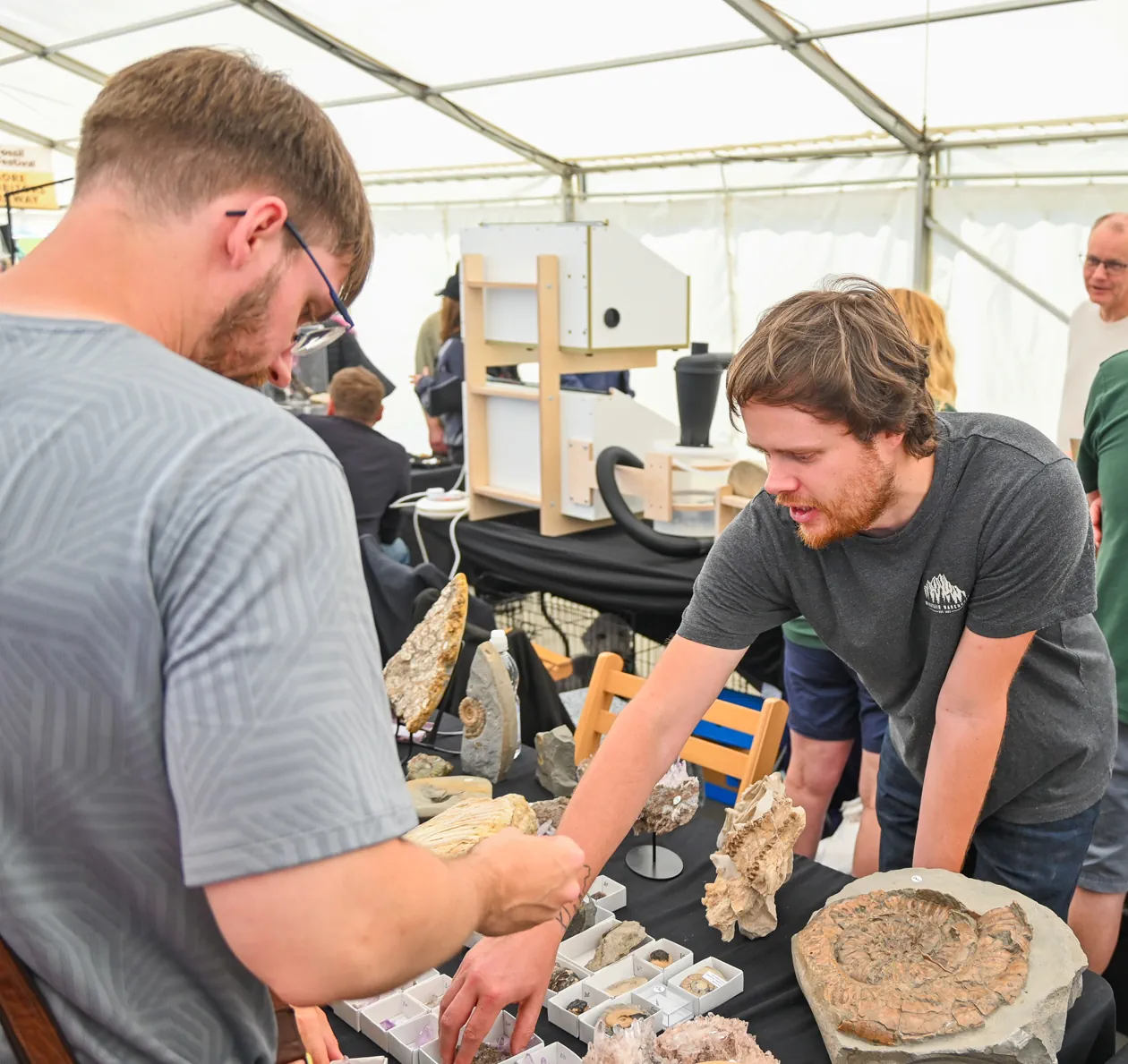 Fossil Festival Lyme Regis 14th June 2025
