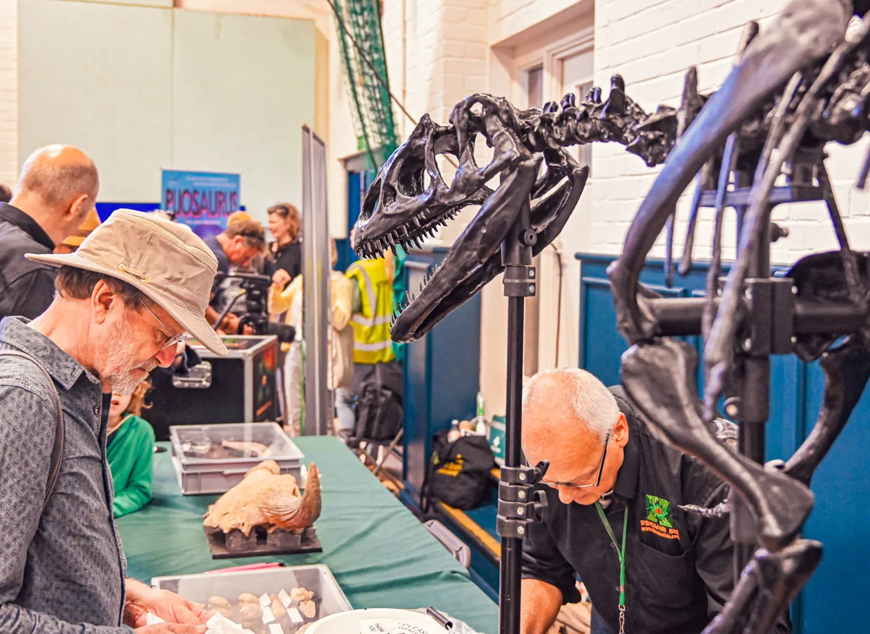 Fossil Festival Lyme Regis 15th June 2025