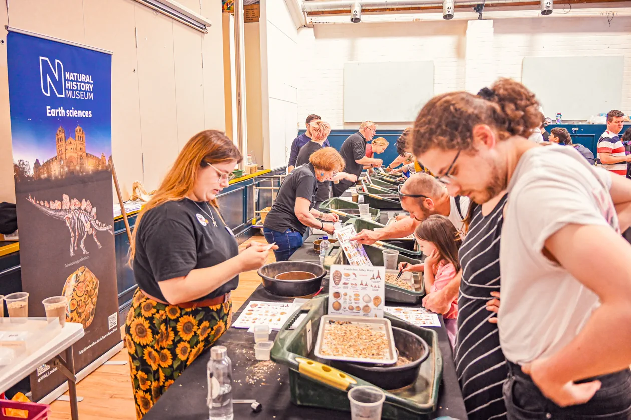 Fossil Festival Lyme Regis 15th June 2025