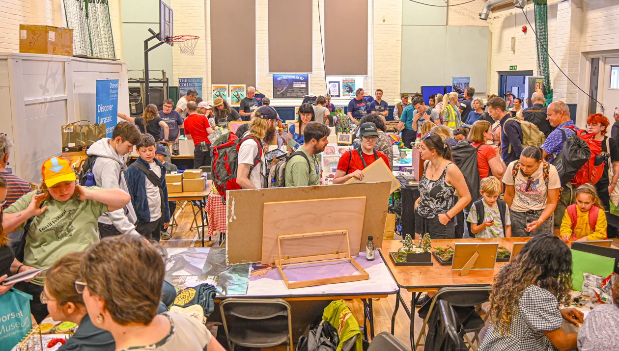 Fossil Festival Lyme Regis 15th June 2025