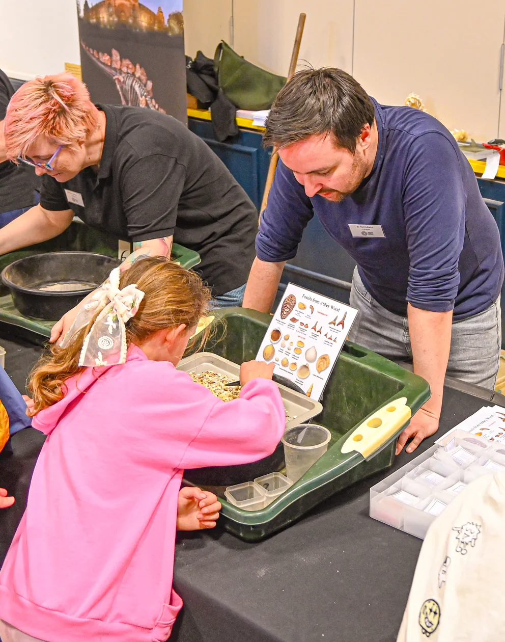 Fossil Festival Lyme Regis 15th June 2025
