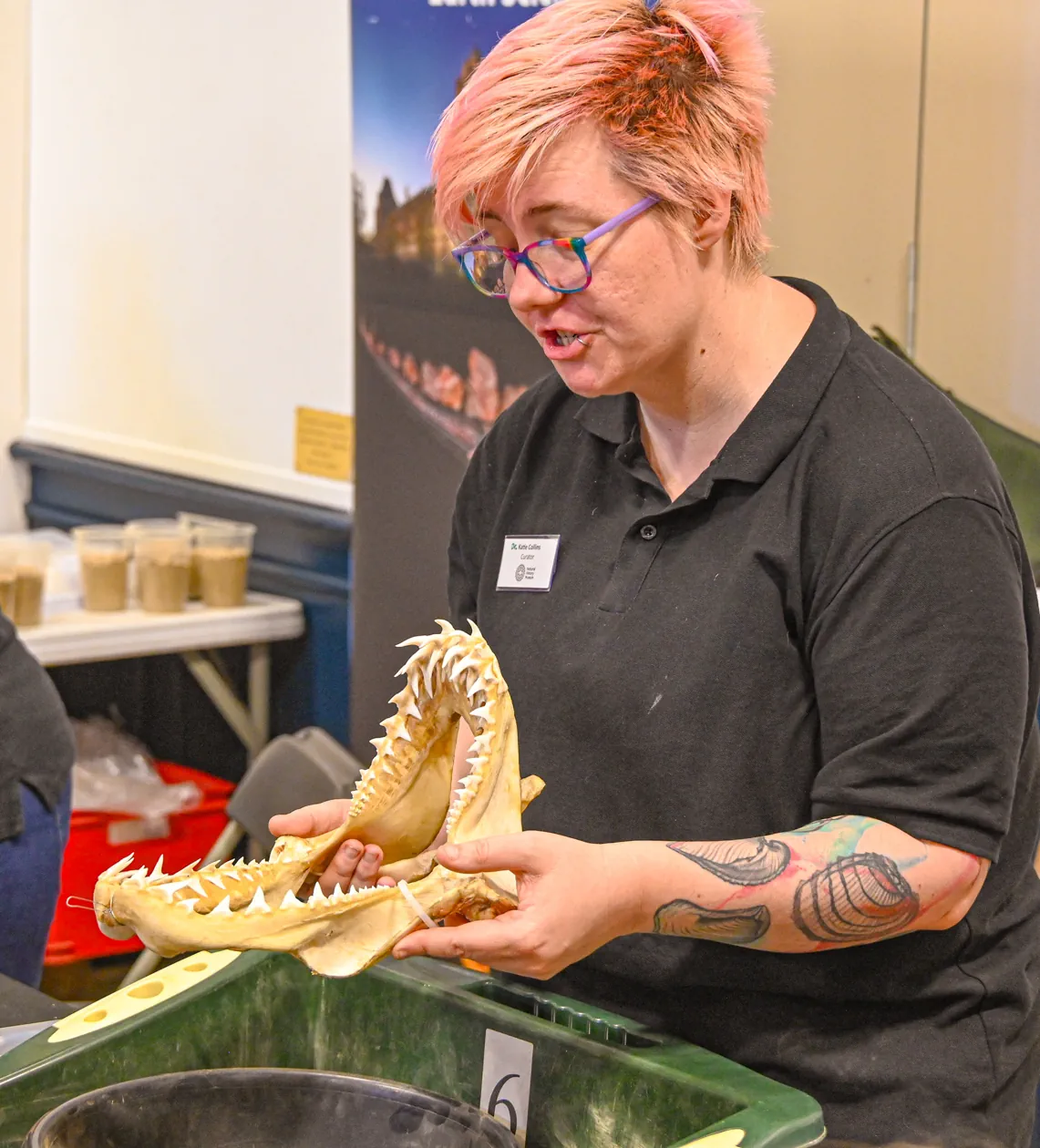 Fossil Festival Lyme Regis 15th June 2025