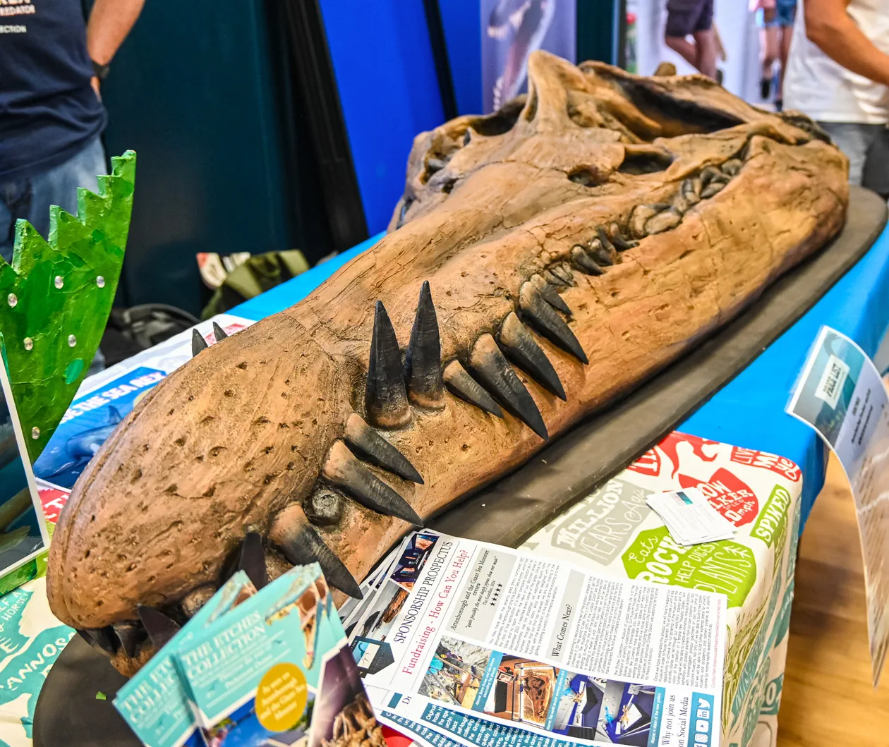 Fossil Festival Lyme Regis 15th June 2025