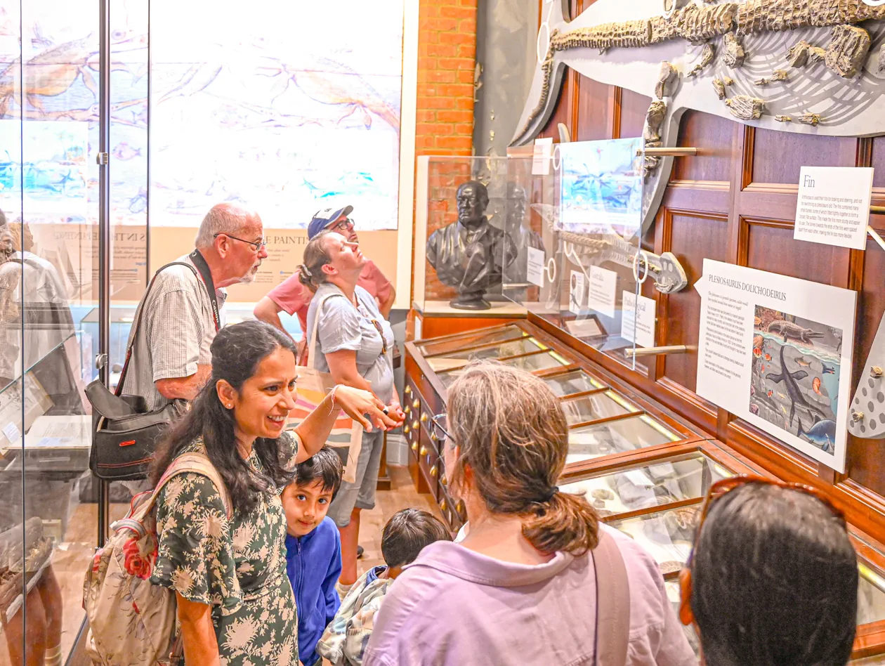 Fossil Festival Lyme Regis 15th June 2025