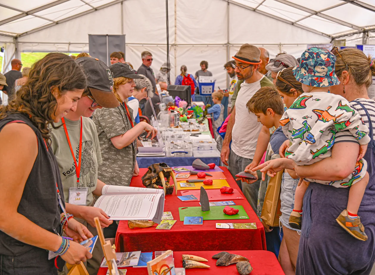 Fossil Festival Lyme Regis 15th June 2025