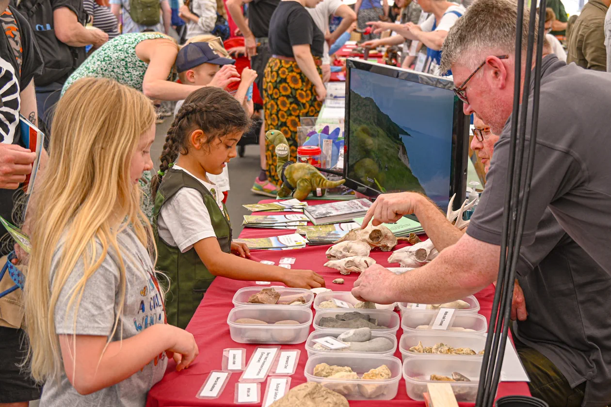 Fossil Festival Lyme Regis 15th June 2025