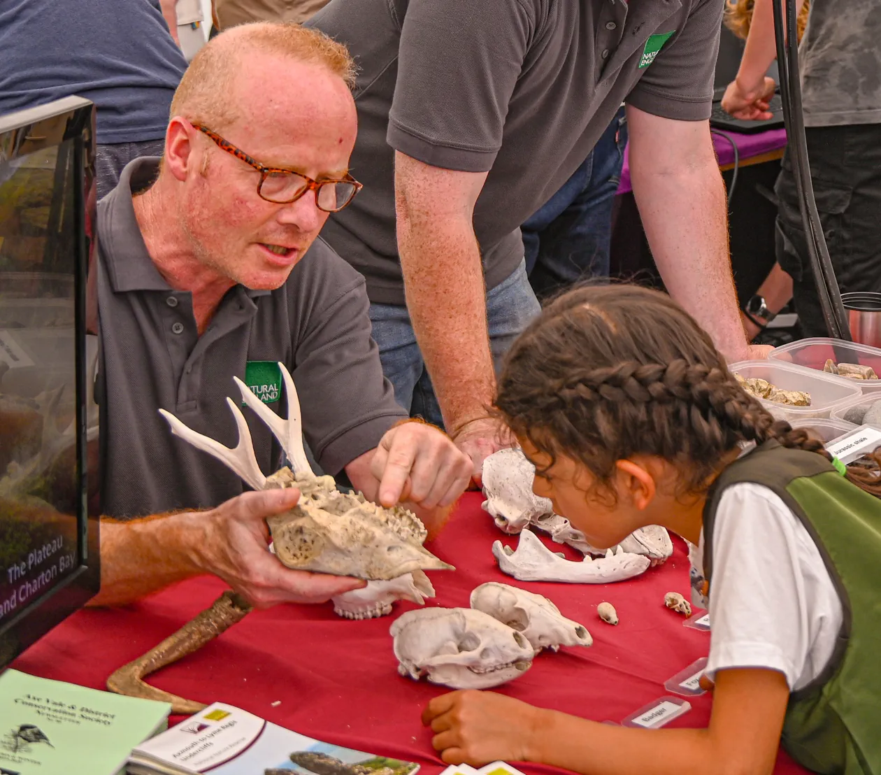 Fossil Festival Lyme Regis 15th June 2025