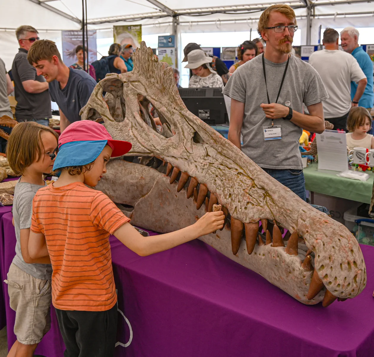 Fossil Festival Lyme Regis 15th June 2025