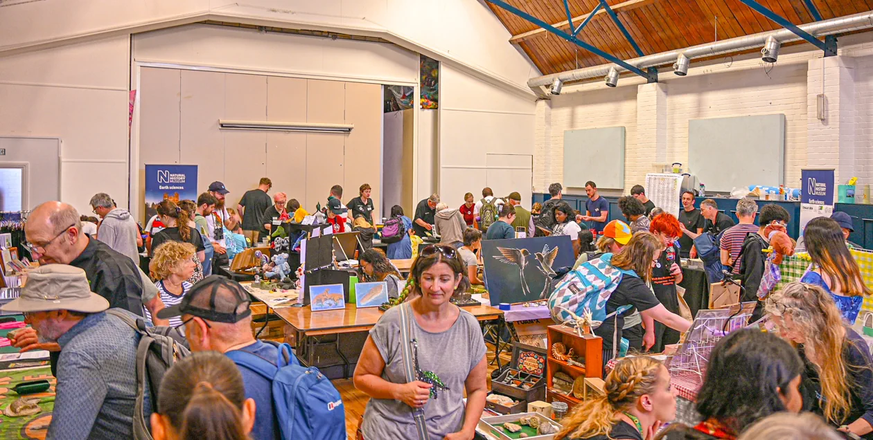 Fossil Festival Lyme Regis 15th June 2025