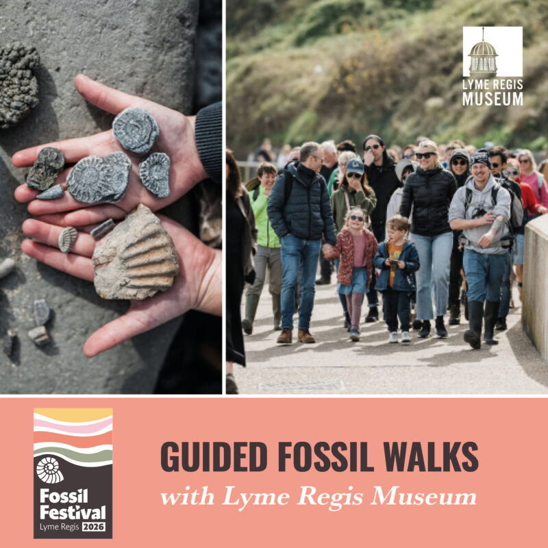 FOSSIL WALKS with Lyme Regis Museum