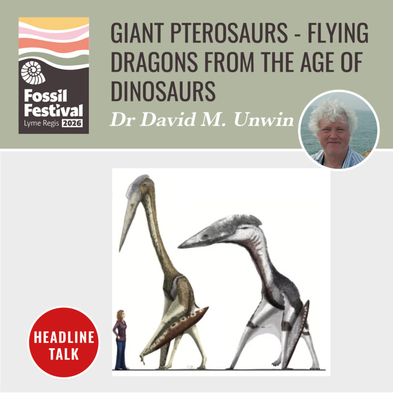 Giant pterosaurs - flying dragons from the age of dinosaurs 